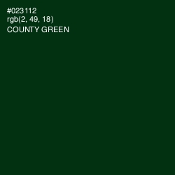 #023112 - County Green Color Image